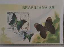 Bloc feuillet Cambodge BRASILIANA 1989 papillons timbre oblitéré cachet main