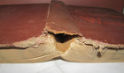 The Strange Woman by Ben Ames Williams HC Hardcover VINTAGE 1941 1942 BOOK (WORN — photo 9