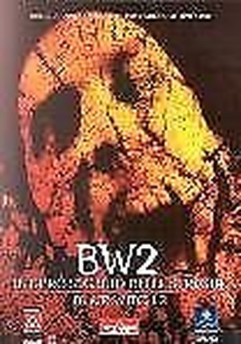 Blair Witch Project 2 - The Secret Book Of Witches (DVD)