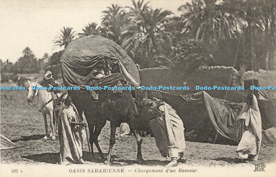 R588231 592 A Oasis Saharienne Chargement dun Bassour ND Phot Anciens Etab Neurd