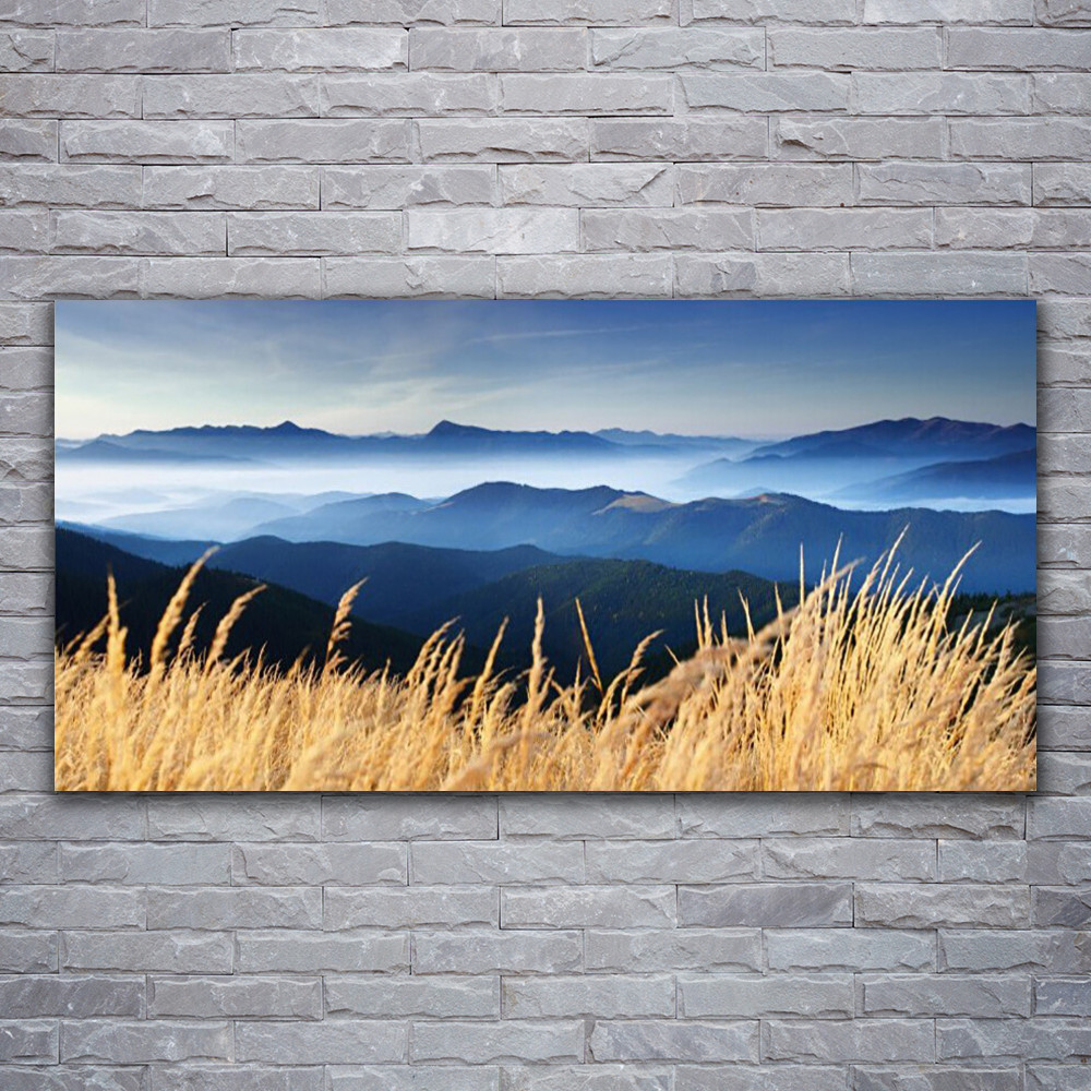 Tableau sur verre paysage de champ pour salon moderne 120x60 cm