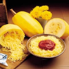 Squash Vegetable Spaghetti Garden Heirloom Vegetable By Seed Kingdom 25 Seeds