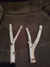 Y Birch Poles Fresh 