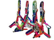 New! Valhoma VALUE RAINBOW HALTER w/ Brass plated snap Pony Colt Yearling Small