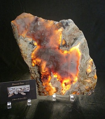 Petrified Wood Slab - Bright Colors with Agate Strikes 7''x9'' (1/2'' Thick) .85KG
