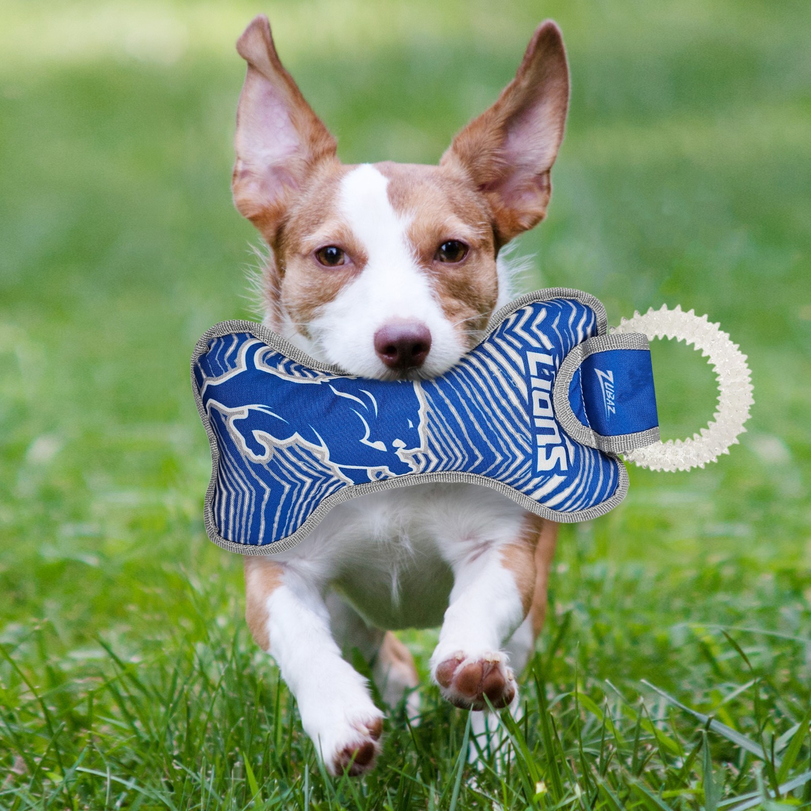 Pets First NFL Zubaz Dental Ring Toy for Dogs & Cats Dog Chew Toy with Squeaker