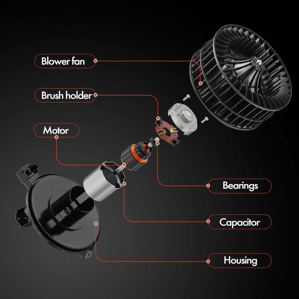 Motor soplador calentador HVAC con jaula de ventilador para BMW 318ti E36 1995-1999 L4 1,8 L 1,9 L Foto 4 de 4