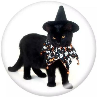 Fit Ginger Snap Black Cat Halloween Glass 18mm / 20mm Snap ZZD5273