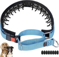 Martingale No Pull Dog Collar - Heavy Duty Nylon with Buckle