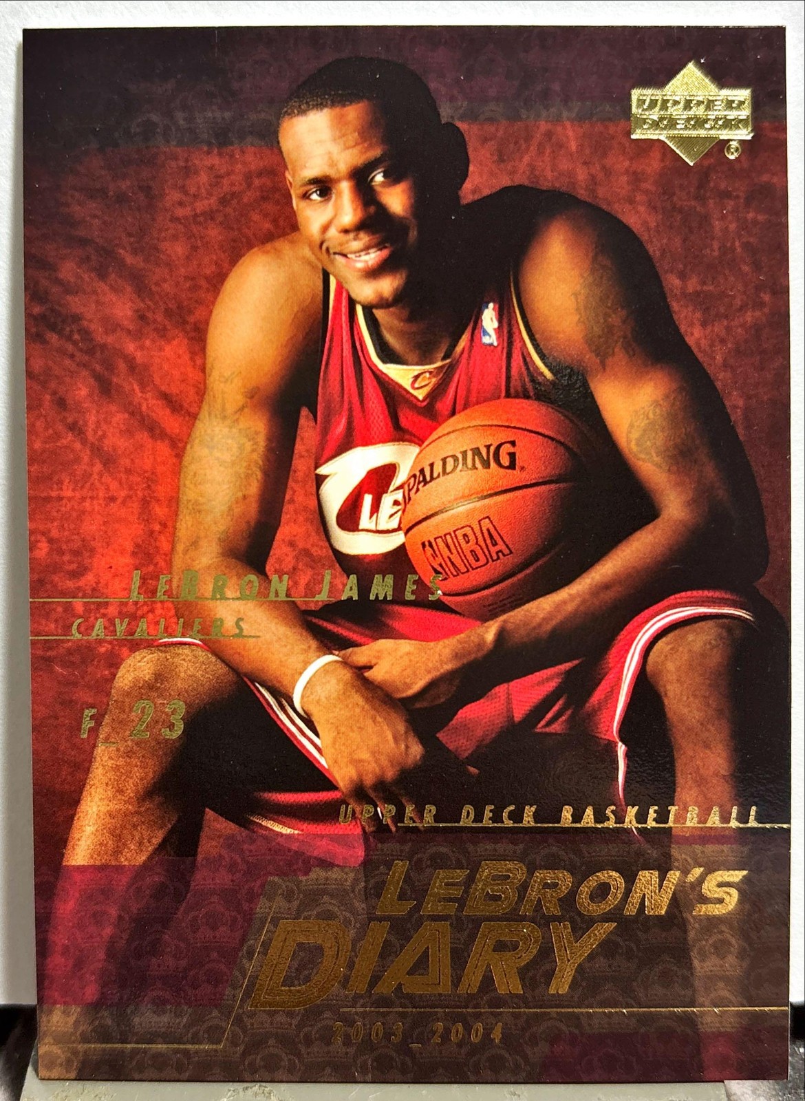 2003-04 Upper Deck #LJ11 LeBron James LeBron's Diary Cleveland Cavaliers