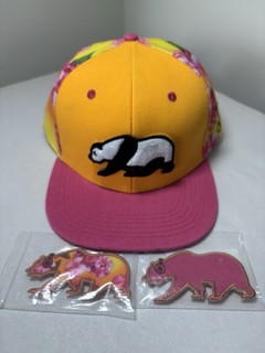 Grassroots California SnapBack 3 patches LG/XL