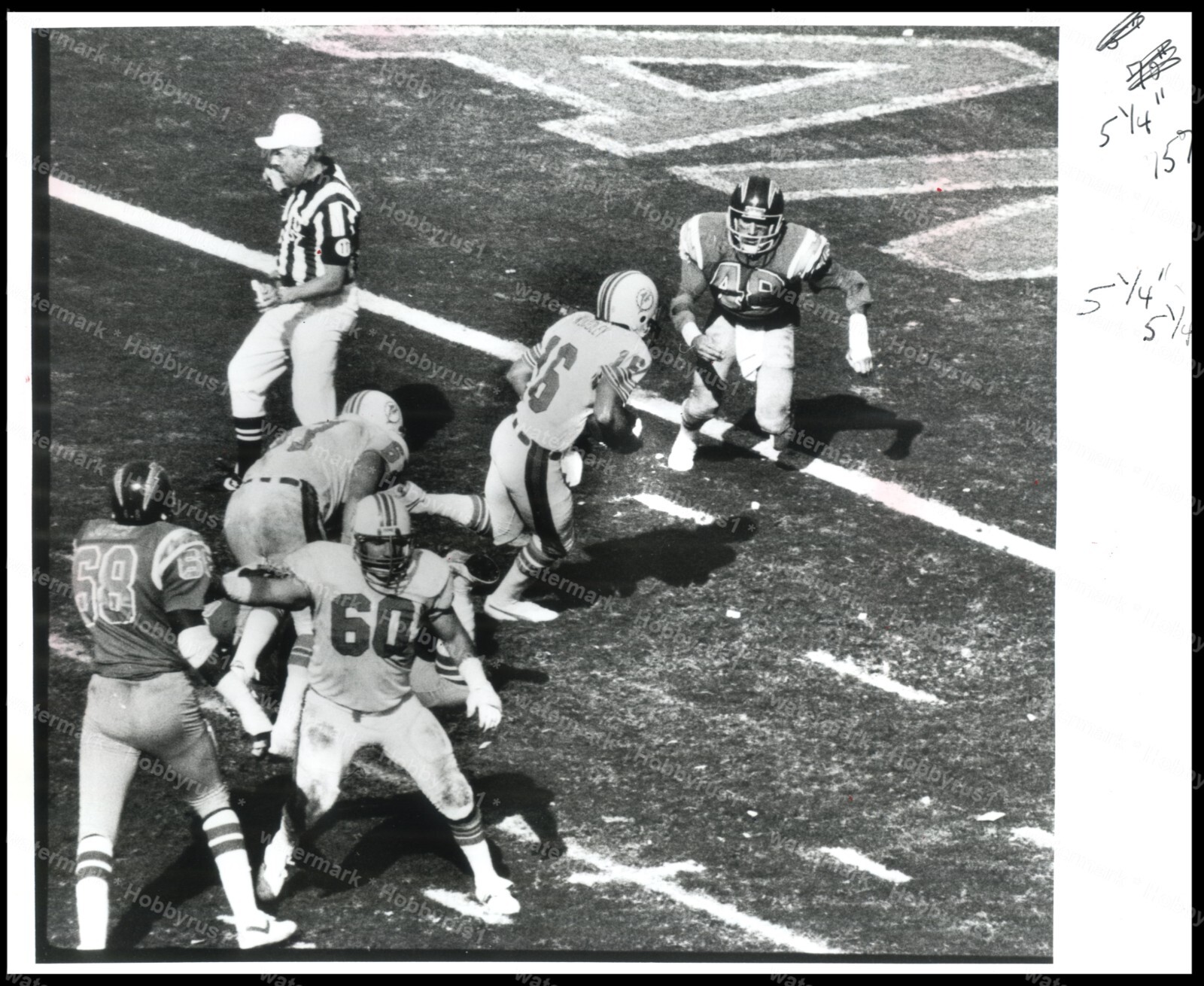 David Woodley MIAMI DOLPHINS NFL Football 1983 Original Press Photo