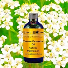 Yarrow Essential Oil 100 Pure White Milfoil Sizes 1oz - 8 oz