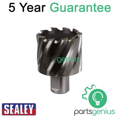 Sealey Worksafe �� 45 mm HSS Mag Bohrer Schnitttiefe 25 mm RBHSS45S