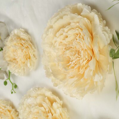 6 pack 12'' 16'' 20'' Ivory and Cream Tissue Paper Carnation Flowers Home Backdrop