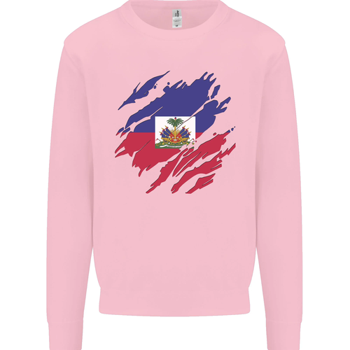 Torn Haiti Flag Haitian Day Football Kids Sweatshirt Jumper - 第 56/97 張圖片