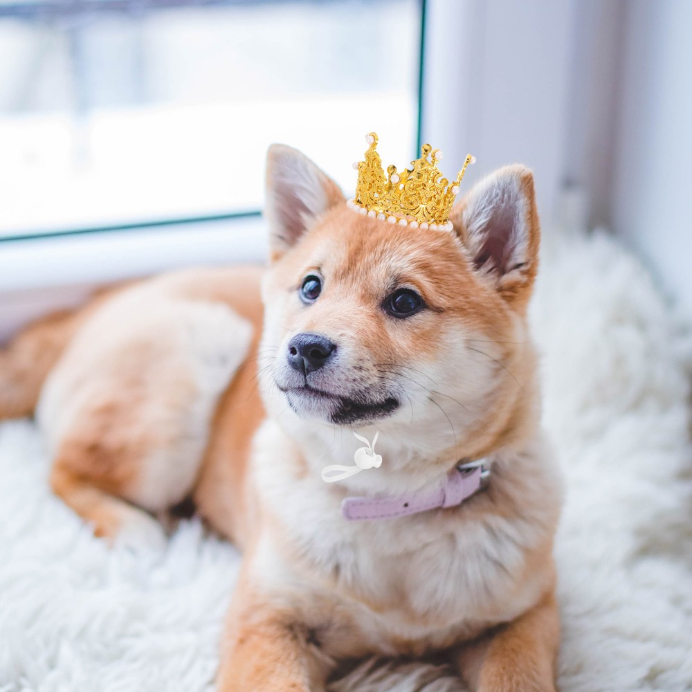 2pcs Cat Crown: Happy Birthday Crown Hat For Dogs And Cats - Pet Party