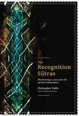 Die Anerkennung Sutras, Christopher D Wallis, Pap - Bild 1 von 1