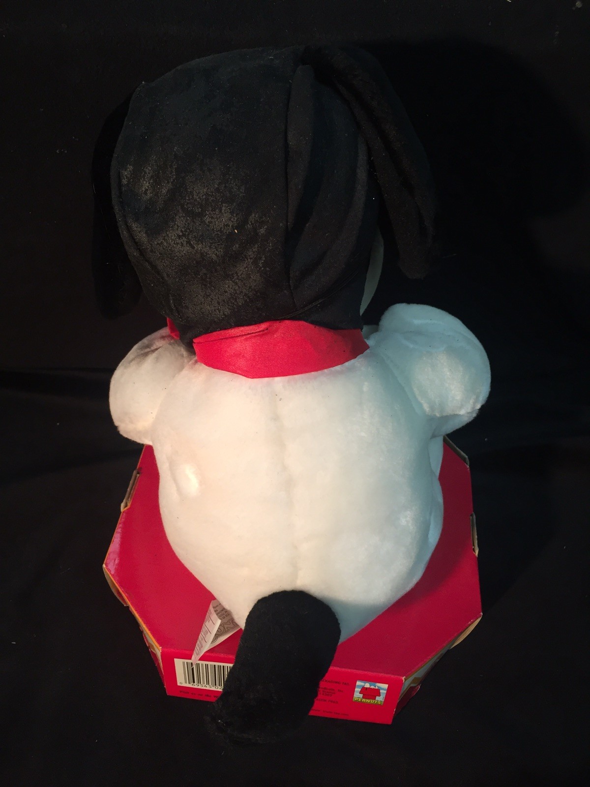 Picture 4 of 9