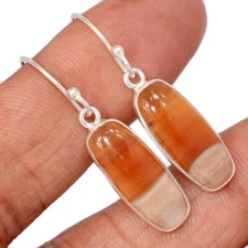 Natural Petrified Wood - Navajo County 925 Silver Earrings Jewelry CE50719