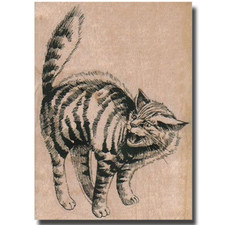 Mounted Rubber Stamp, Angry Cat, Fun Animal Kitten Kitty Stripes Eyes Looking wm