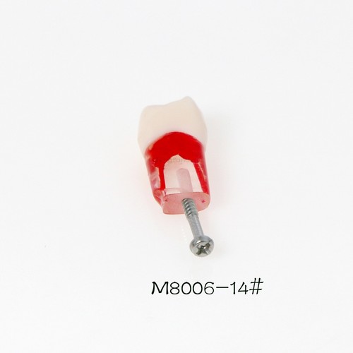Bloques de estudio de ECA modelo de dientes de práctica de conducto radicular dental para Nissin Kilgore 200 - Imagen 38 de 90