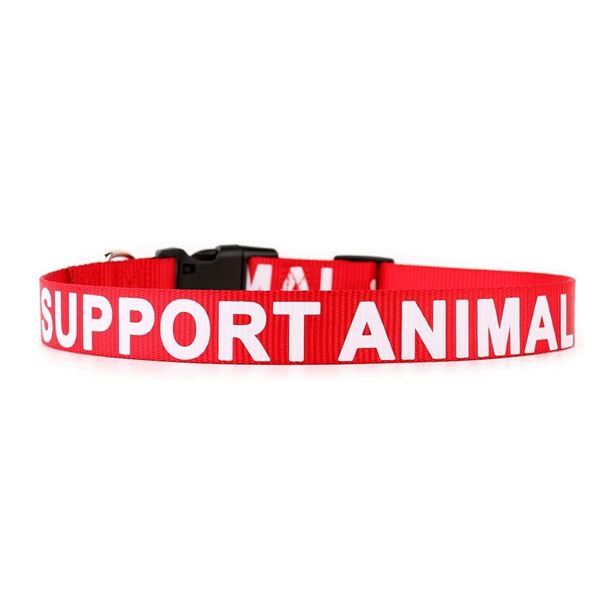 Set Accessori Animali Supporto Emozionale | Imbracatura, Guinzaglio, Bandana, Collare, Etichetta foto 5