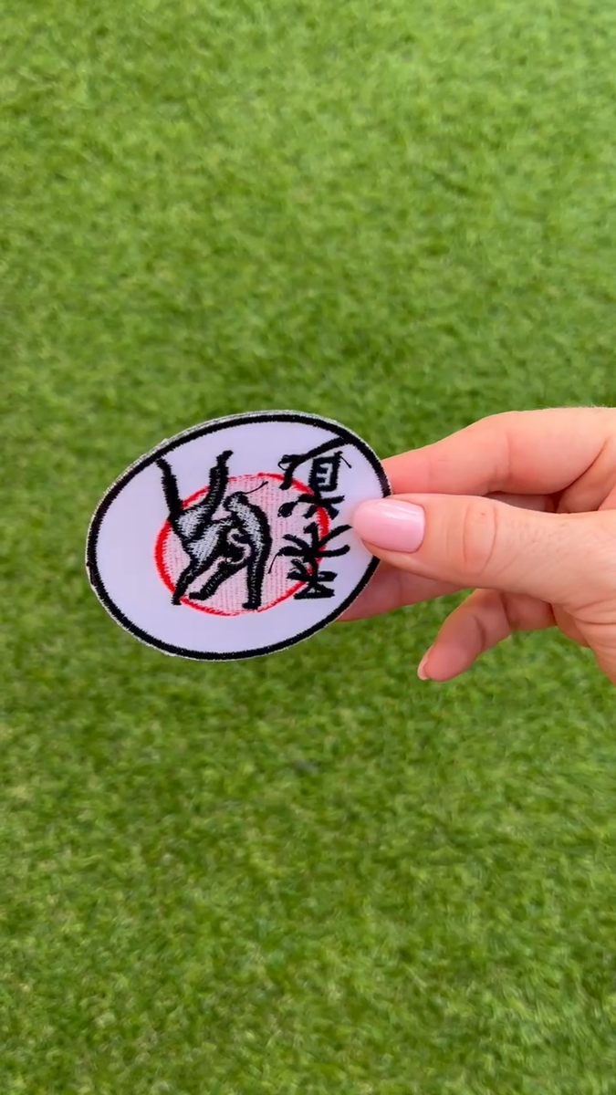 Insigne d'arts martiaux - France