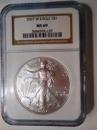 2007-W *Burnished* NGC MS 69 1 OZ. American Silver Eagle Coin Low Mintage (621K)
