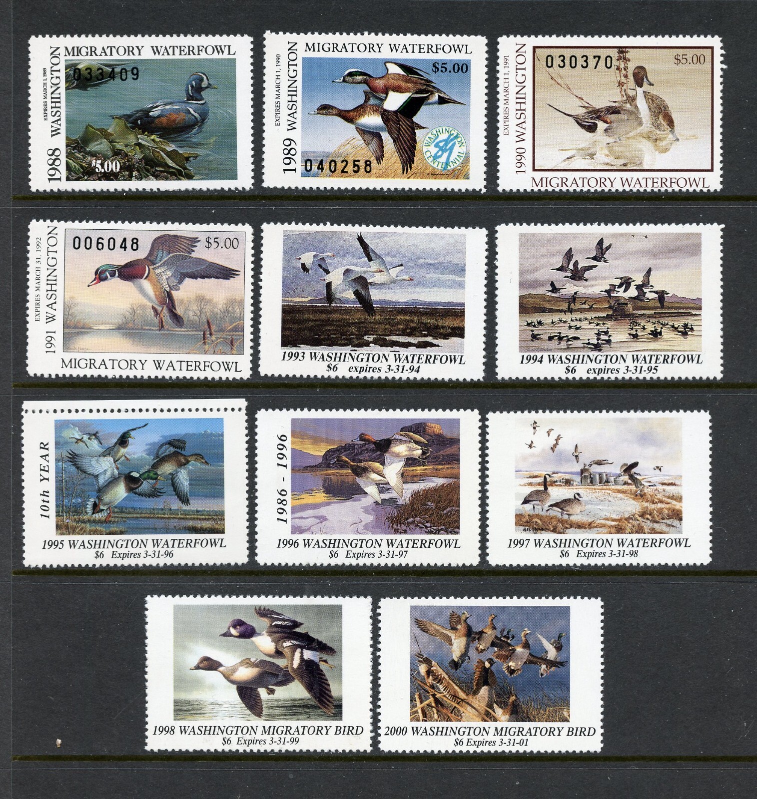 Washington (W588) (11) State Hunting Permit stamps 3\16 MNH, VF, CV