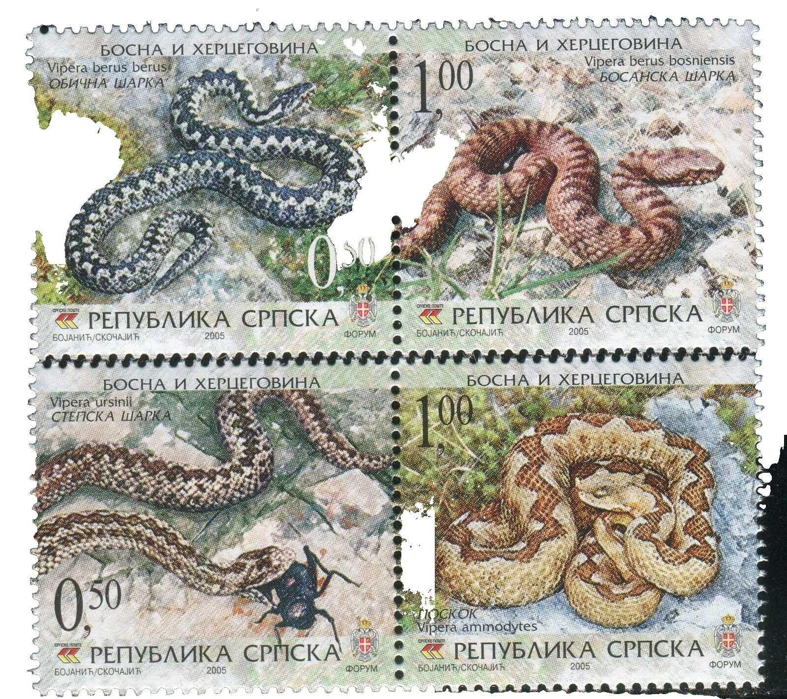 En excelente estado nunca abisagrado/estampillada sin montar o nunca montada serpientes bosnio y herzegovinian stamps
