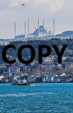 Digital Image photo picture JPEG file