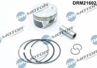 Dr.Motor Automotive Kolben FüR Vw Passat B7 Sharan Seat Alhambra Skoda Superb