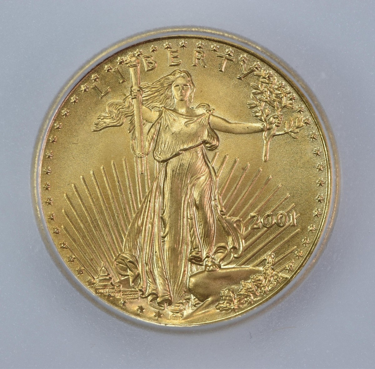 2001 $5 American Gold Eagle 1/10 Oz Gold MS70 ICG | eBay