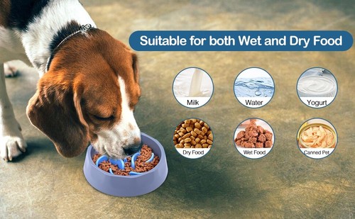 2-in-1 Slow Feeder Dog Bowl & Insert, w/Food Grade Silicone, Anti-Scratch, Blue - Picture 4 of 6