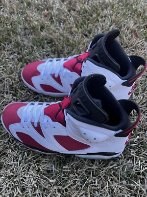 carmine 6s purple