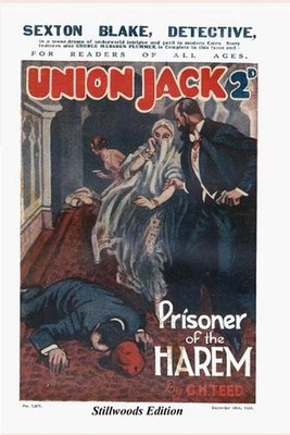Prisoner of the Harem by G.H. Teed Paperback Book