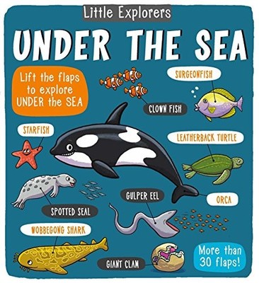 Little Explorers: Under the Sea, Little Bee Books