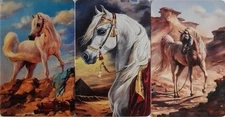 Swap cards Modern playing card back set of 3 Wonderful Arabian Horses