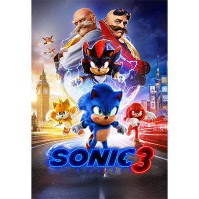 Sonic the Hedgehog 3 Movie Poster Art High Quality 4x6 8x10 11x17 13x19