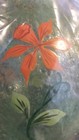 Bild 7 von 11