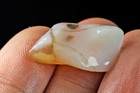 10Ct Orange Brown Opal Nugget Carved Facet Rough Specimen UYWPT1344 — photo 3