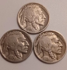 BUFFALO  NICKEL LOT OF 3 COINS WITH READABLE DATES see description for more info