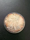 1996 Key Date  AU - American Silver Eagle  Toned Beautiful Color