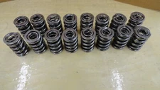 MANLEY Nextek  Dual Valve Springs - 221441P-16