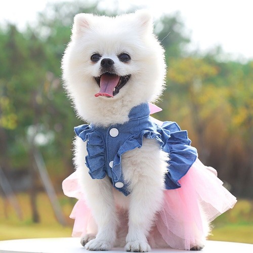 Puppy Dog Clothes Female Dog Cat Dress Spring Summer Princess Dress Bowknot Pet - Picture 9 of 26