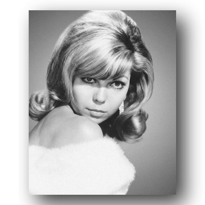 Nancy Sinatra Photo 8x10 1965 Publicity Still Singer Actress Black And White