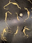 Dry Wild American Ginseng. 1/10 Lb. W/ Certificate. 17 Roots Total. 2025 Harvest — photo 5