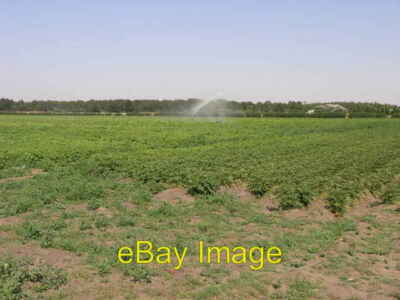 Foto 6x4 Kartoffeln und Wasser Messingham Die Kartoffeln erhalten viel n c2006