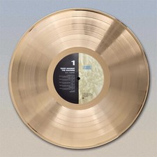 Rage Against the Machine "Evil Empire" Gold or Platinum LP Wall Art.